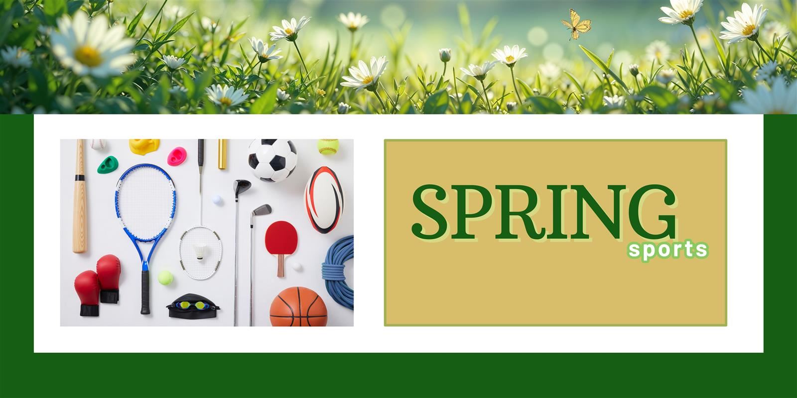 Spring Sports Banner